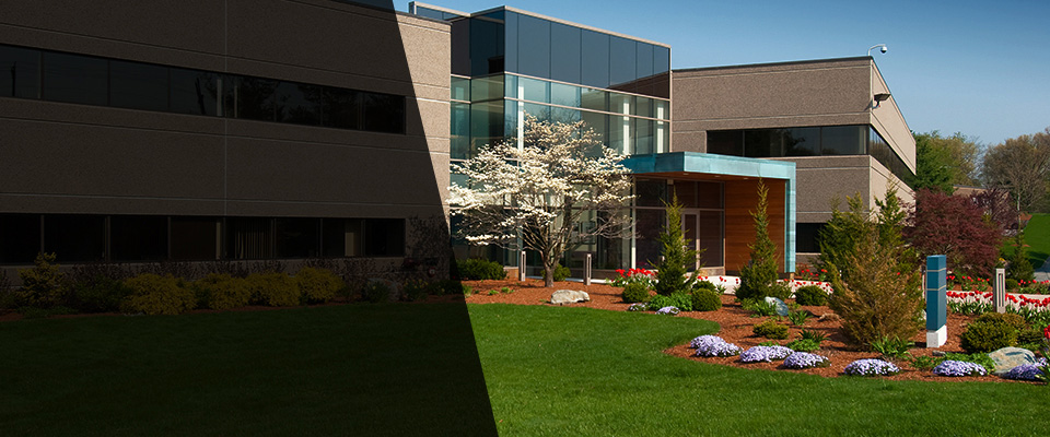 Wheat Ridge Landscapers