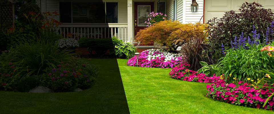 Wheat Ridge Landscapers
