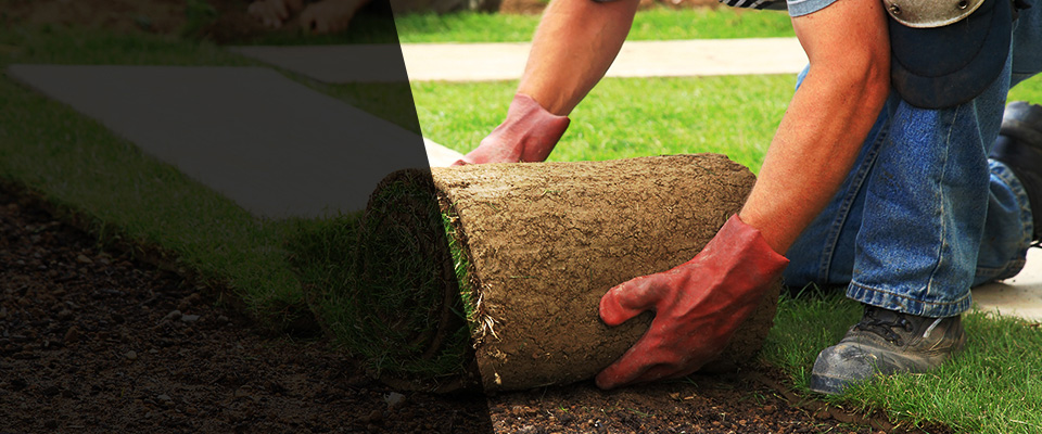 Wheat Ridge Landscapers